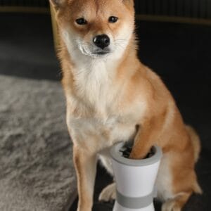 Electric foot washing cups for pets